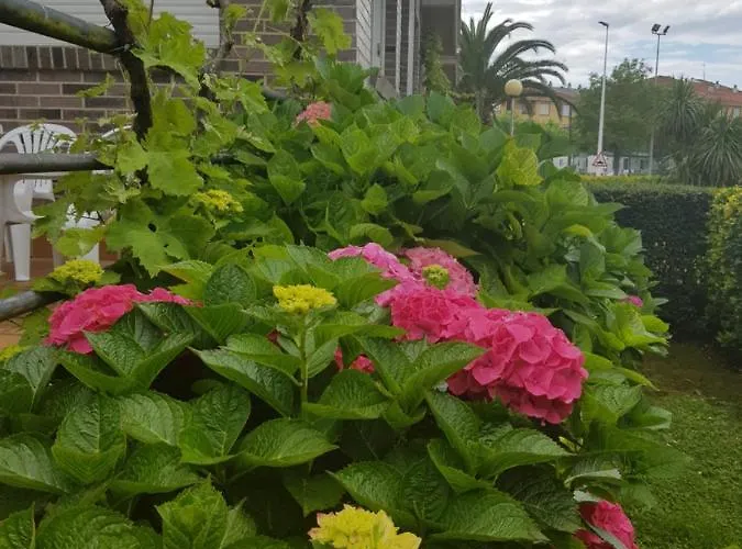 Luminoso Playa Ris Con Garaje